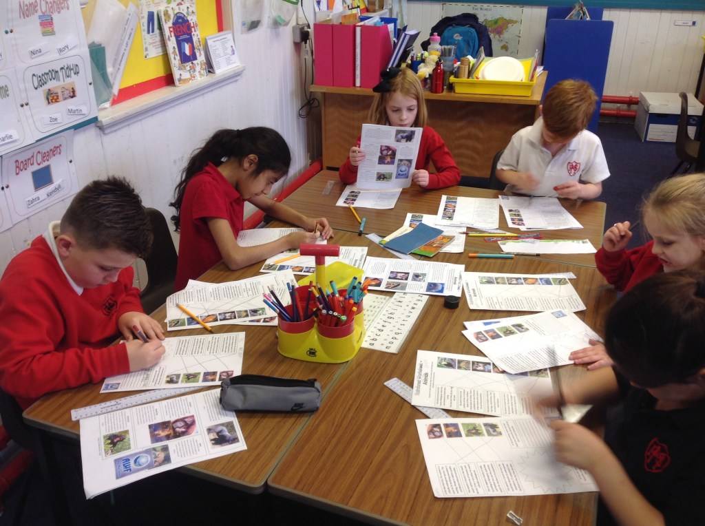 Learning about rainforest animals